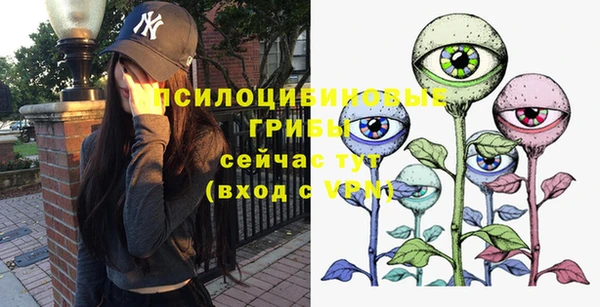 тгк Алзамай