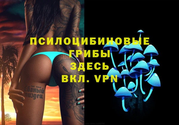 тгк Алзамай