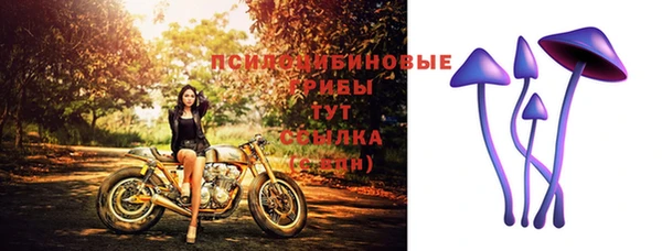 экстази Алексин