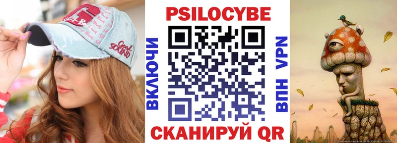 omg вход  Кольчугино  Псилоцибиновые грибы мицелий 