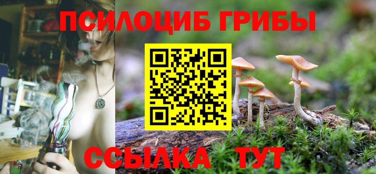 Кольчугино  Галлюциногенные грибы Cubensis  Вход с VPN  Галлюциногенные грибы Psilocybe 